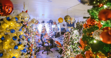 Более 600 елок в доме: немецкая семья установила "рождественский" мировой рекорд (фото, видео)