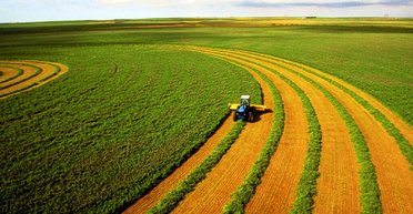 Сколько стоит земля для ведения сельского хозяйства в Украине во время войны