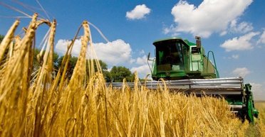 Защищают свои интересы: Польша заговорила о новых ограничениях для украинских аграриев