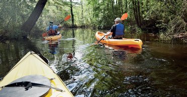 Путешествия на разлив. 12 мест Украины, красивых во время весеннего половодья