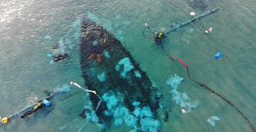 Помогли мертвые крысы. Ученые разгадали тайны кораблекрушения 1400-летней давности