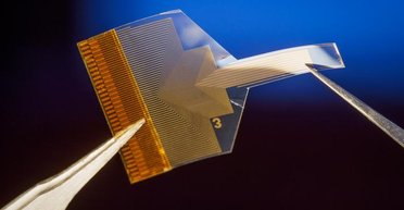 Посторонись, Илон Маск: ученые в шаге от создания интерфейса "мозг-компьютер"