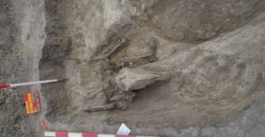 Золотой перстень и серебряные украшения: в Венгрии нашли чрезвычайно богатое захоронение элитного воина (фото)