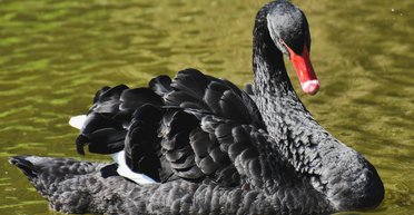 Осталось "две-три недели". Пять ошибок украинских экспертов при анализе военной ситуации