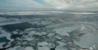 Арктика втрачає лід у рази швидше, ніж очікувалося: на катастрофу вказує космічний пил