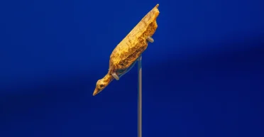 Древнейшая среди всех: что известно о фигурке птицы из Холе-Фельс (фото)