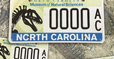 В США начали выдавать номера авто со скелетом динозавра (фото)