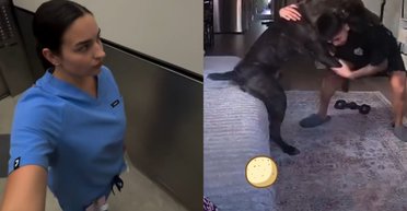Девушка проверила домашнюю камеру и не поверила, чем занимается ее парень с собакой (видео)