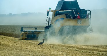 Пессимистический сценарий: что ждет агрокомпании в Украине, если экспорт по Черному морю сорвется