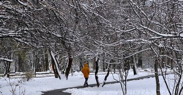 Снег, гололед и потепление до +15: синоптик рассказала, как начнется зима в Украине (карты)