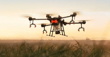 Засеют поля и соберут мед: как дроны вместе с пчелами помогут разминировать Украину