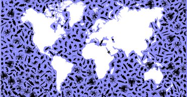 Имя зверя. Зачем ученые называют новые виды животных в честь Трампа или магистра Йоды