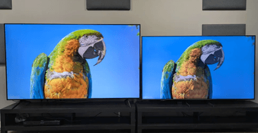 Дорогой Samsung или дешевый TCL: эксперт дал неожиданный совет, какой из них купить (фото)