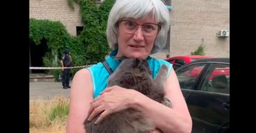 Кіт врятував дніпрянку в день страшного обстрілу: що він зробив (відео)