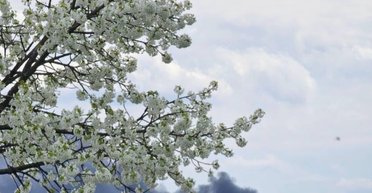 ВС РФ атаковали Полтаву: в городе прогремел взрыв, — ОВА