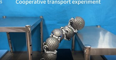 Рій роботів-равликів показав, як спільно вирішувати проблеми (відео)