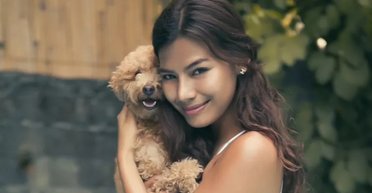 Собака впав зі стільця на відпочинку: власниця прийняла важке рішення (фото)