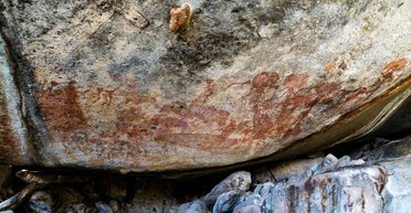 Жуткие фигуры, напоминающие инопланетян были найдены в танзанийском заповеднике (фото)