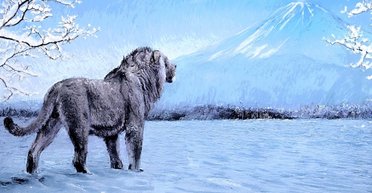 Доисторическая Япония была домом для древних кошек, но это были совсем не тигры: кто там обитал