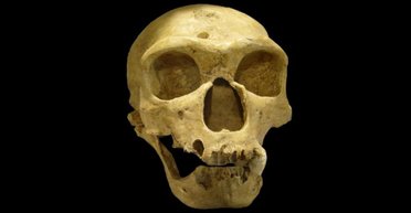 Що насправді знищило неандертальців: у фізиків є космічна теорія