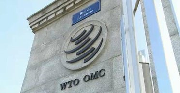 Первый случай в истории: Россию могут исключить из Всемирной торговой организации