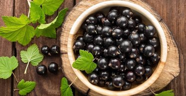 Чорна смородина: 4 причини, чому варто вживати цю ягоду