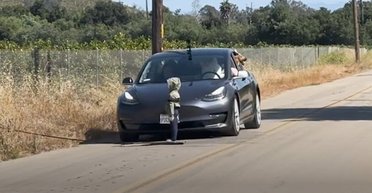 Автопілот Tesla сплутав плюшевого ведмедя з водієм і збив пішохода (відео)