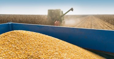 "Закрити" небо над Одесою: як Україні захистити зерно від обстрілів