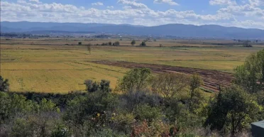 Тайна раскрыта: ученые узнали, где именно Александр Македонский разбил персов