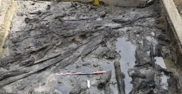 Сохранились со времен неолита: археологи нашли древние деревянные артефакты в Каталонии