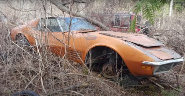 Раритеты под открытым небом: обнаружено кладбище коллекционных американских авто (видео)