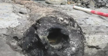 Исключительная находка: в Бельгии нашли важные свидетельства римской эпохи (фото)