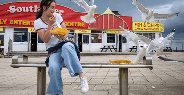 Мільярдні збитки: дуже хитрі чайки "крадуть" і розбивають телефони