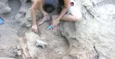 В доисторическом городе нашли старейшую в Европе винодельню: что известно о находке (фото)