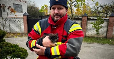 В Чернигове сотрудники ГСЧС выехали на спасение котенка (фото)
