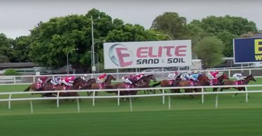 "Боялся худшего": жокей рискнул жизнью, что помочь лошади, которая упала на скачках (видео)