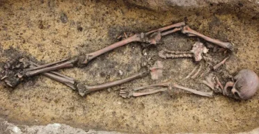 Редкое событие: археологи обнаружили 50 захоронений викингов на датском острове