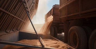 Почему цены на зерновые в Украине обрушились, а продукты на прилавках дорожают