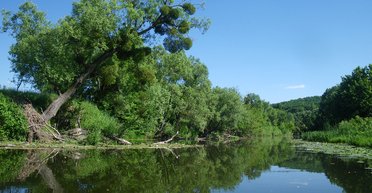 Золотая середина. Все, что только может подарить река путешественнику