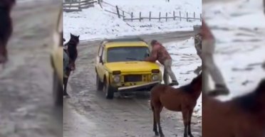 Нападение на работников ТЦК с топором на Буковине: стали известны новые подробности инцидента