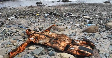 На пляж у Болгарії викинуло костюм із потопленого корвета РФ "Сергій Котов", — ЗМІ (фото)