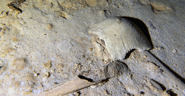 На Филиппинах нашли скелет доисторического человека из последнего ледникового периода (фото)