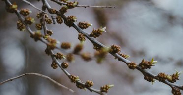 От +3 до +15: синоптик рассказала, каких "кульбитов" стоит на днях ожидать от погоды