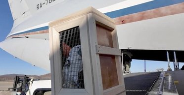 Какаду за солдат КНДР: Путин подарил Ким Чен Ыну более 70 животных из Московского зоопарка