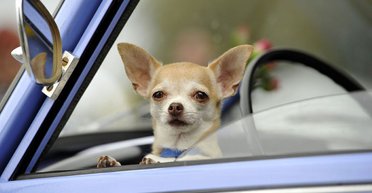 Заднє середнє сидіння автомобіля дійсно найбезпечніше, проте є нюанс