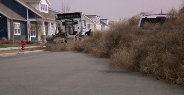Гори заввишки до трьох метрів: місто "захопило" величезне перекотиполе (відео)