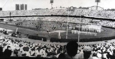 Талісман фанатського сектора. Історія людини, яка стала улюбленцем уболівальників київського "Динамо"