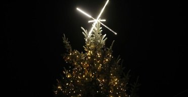 20-летнюю елку установят во Львове: рождественское дерево украсит противотанковый "еж"