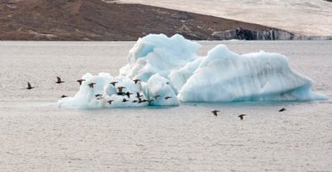 Землю ждет бурный рост морской жизни: его запустит то, что ранее считалось катастрофой
