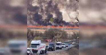 Сильные пожары под Одессой: огонь охватил несколько районов области (видео)